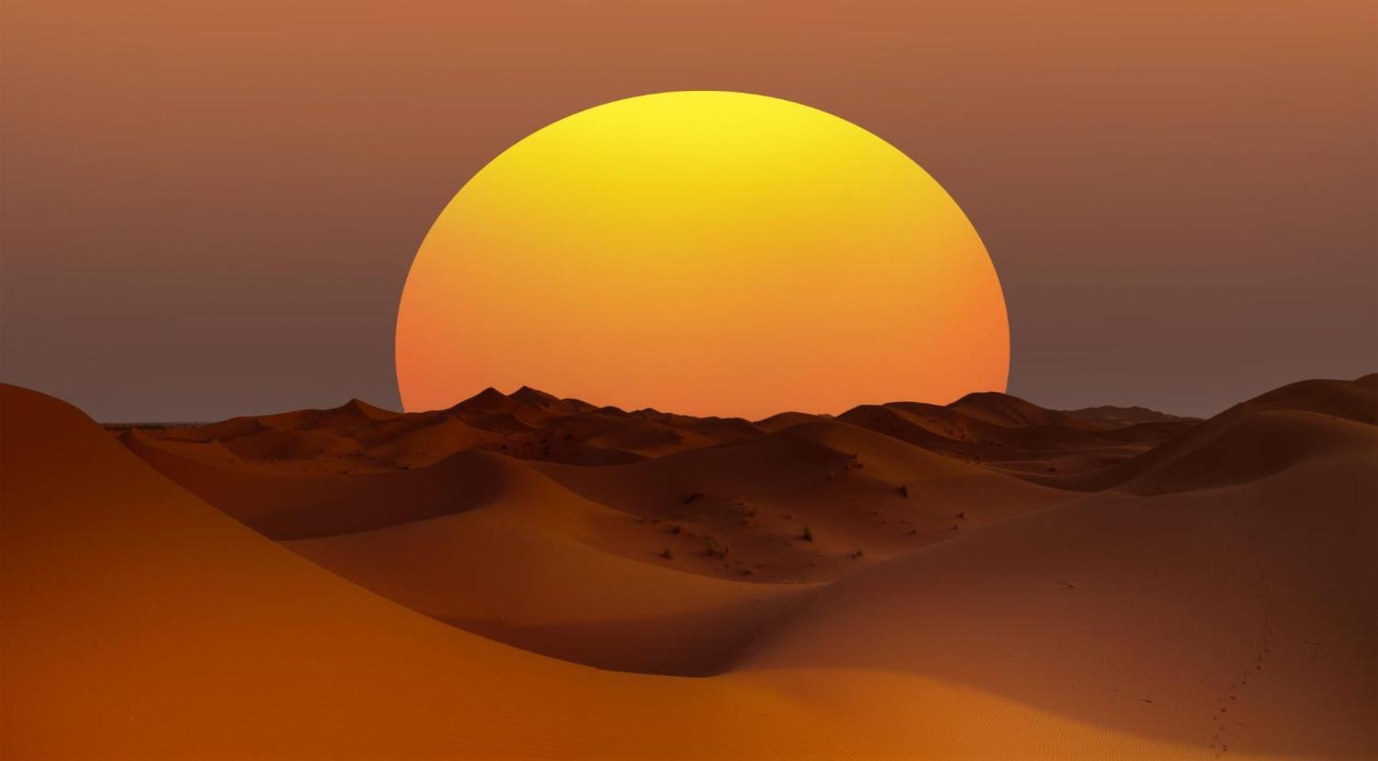 Desert Camel Trek Merzouga Buitenkant foto