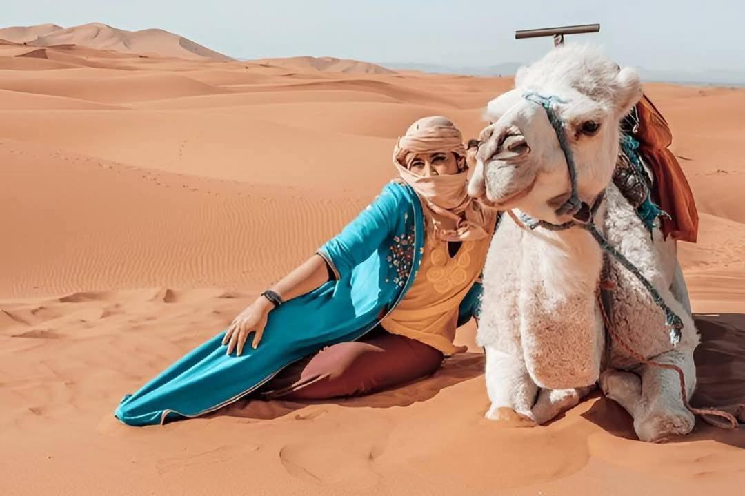 Desert Camel Trek Merzouga Buitenkant foto